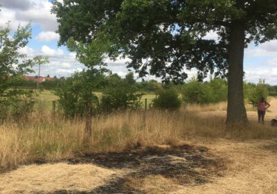 Burnt grass near Green Lane Wood Credit: WWT