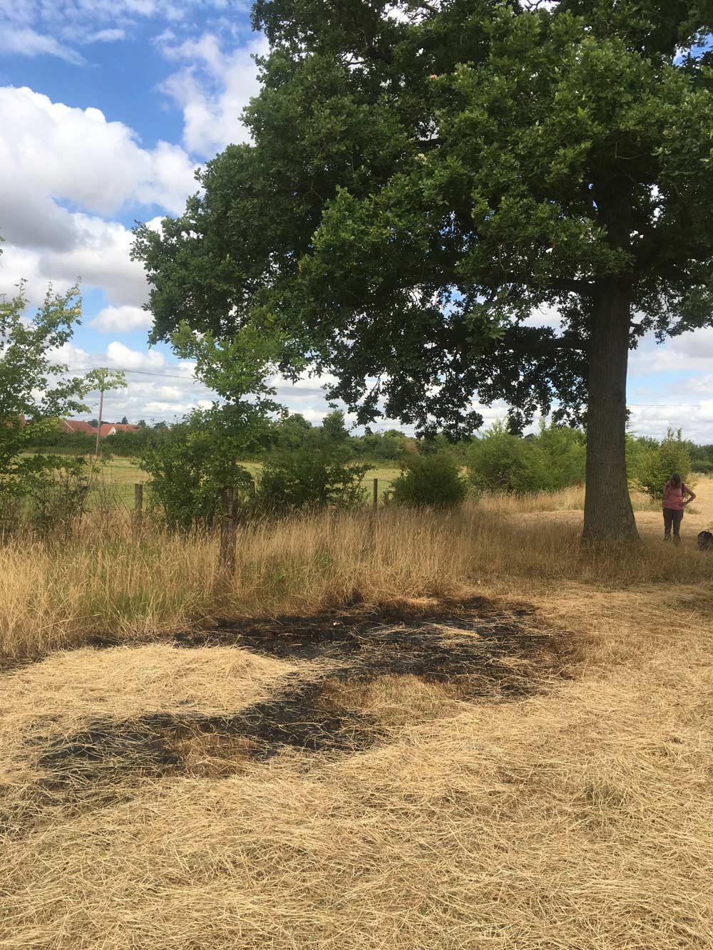 Burnt grass near Green Lane Wood Credit: WWT