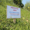Sign denoting protected area for wild orchids.