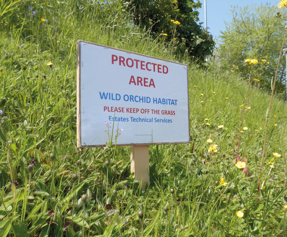 Sign denoting protected area for wild orchids.