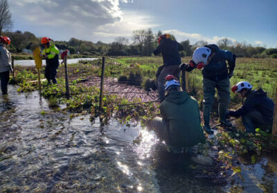 Volunteers helping to instal berms made of hazel to help stabilise the river banks Credit: Wessex Rivers Trust