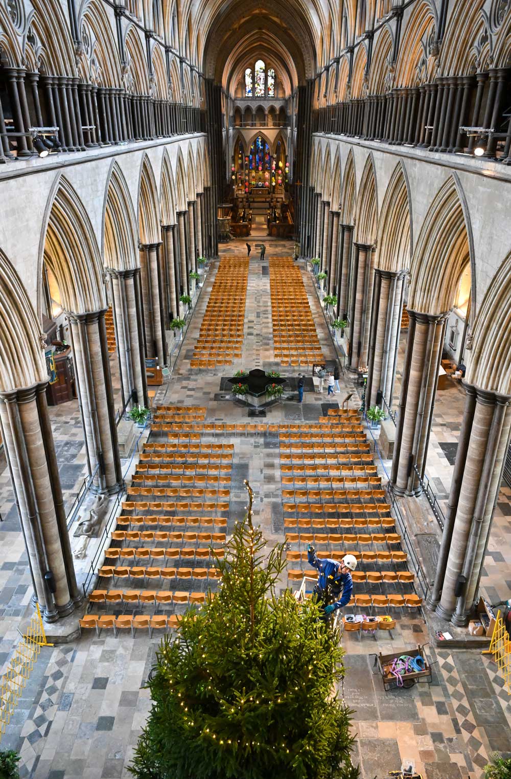 The imposing view from atop the tree