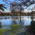 Wiltshire Council has warned that more flooding events are likely Credit: Cllr Jeremy Nettle