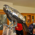 The falcon on view in the lounge at Braemar Lodge.