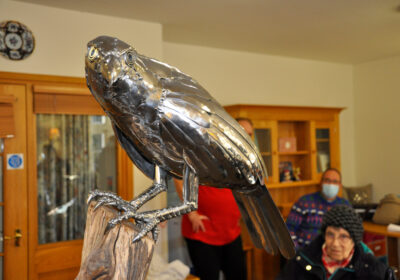 The falcon on view in the lounge at Braemar Lodge.