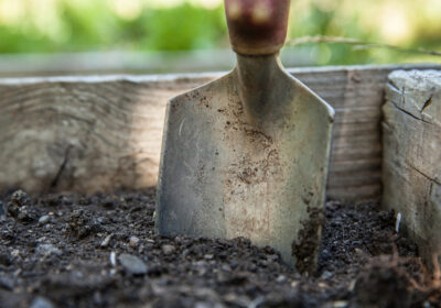 Dig over any vacant plots