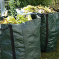 Garden waste will be collected from April 2024 if plans proceed
