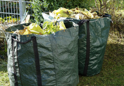 Garden waste will be collected from April 2024 if plans proceed