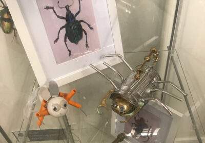 Bug display