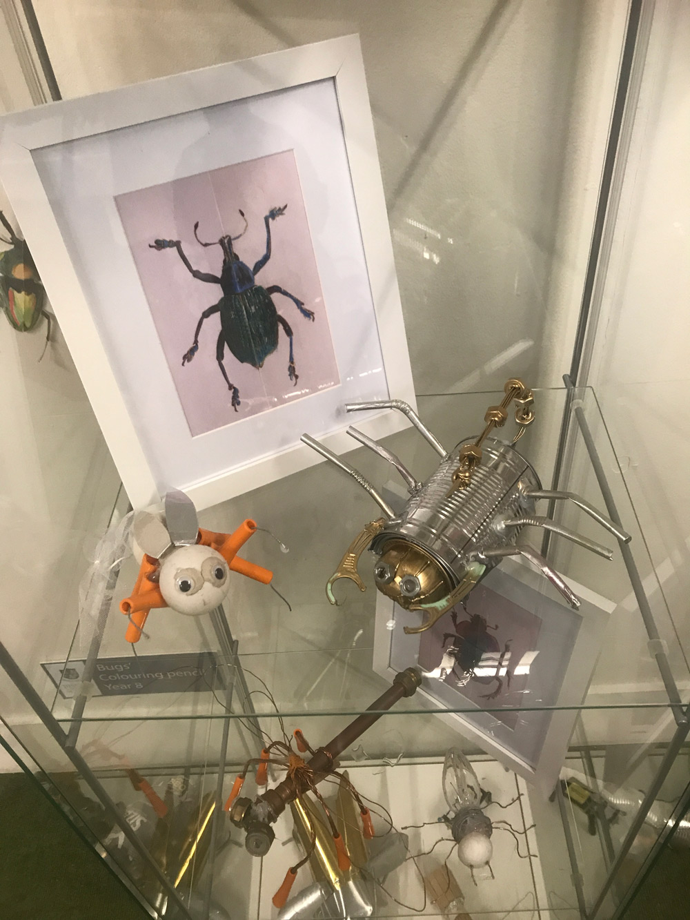 Bug display