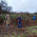 Volunteers helped to plat 80 metres of native hedge whips on the day Credit: Salisbury City Council