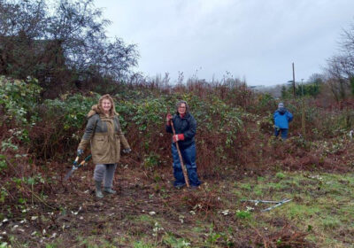 Volunteers helped to plat 80 metres of native hedge whips on the day Credit: Salisbury City Council