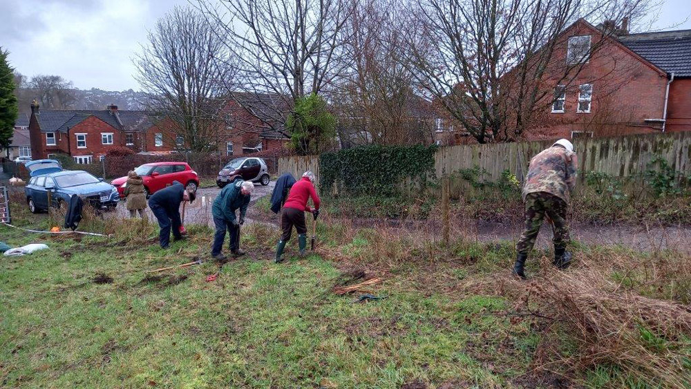 Volunteers helped to plat 80 metres of native hedge whips on the day Credit: Salisbury City Council