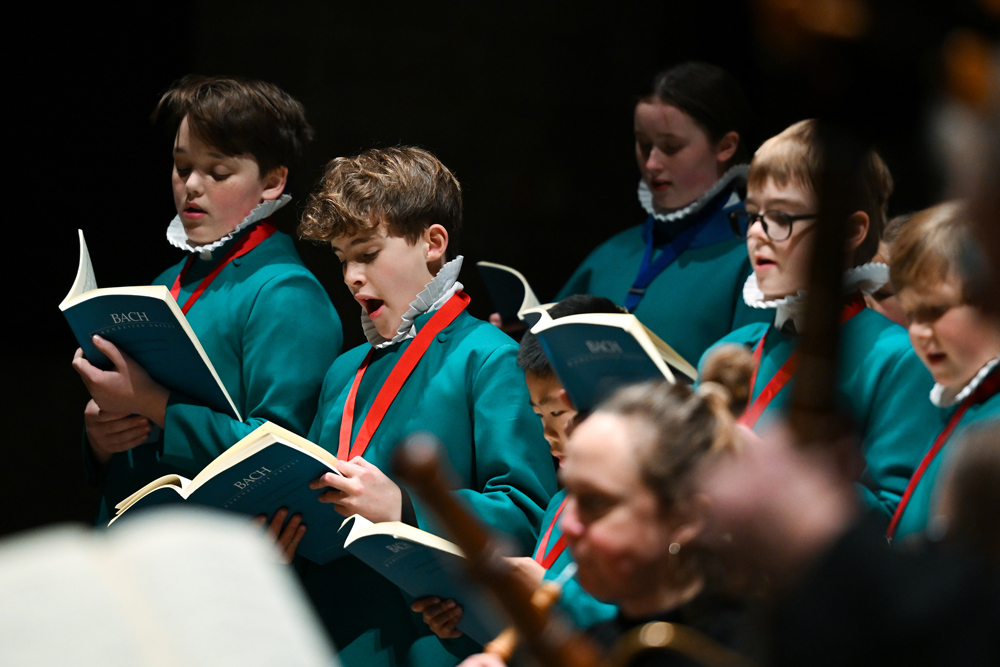 The Cathedral’s Choristers will tour the Channel Islands Credit: Finnbarr Webster