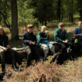 Scouts on the trail in the New Forest