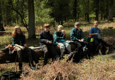 Scouts on the trail in the New Forest