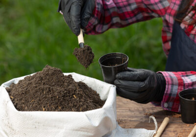 The Trusts are encouraging gardeners to use peat-free compost