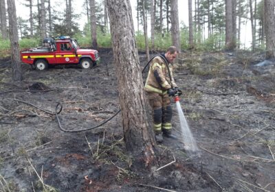 Firefighters tackled the blaze, in Verwood, for eight hours. Picture: UHP