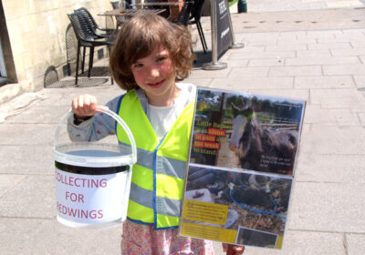Barney’s plight moves Michaela to make a positive difference WHEN Michaela Brown looked at the spring newsletter from Redwings Horse Sanctuary, and saw an article about a pony named Barney who was left upside down in some rubble, she was so upset that she wanted to do something to help. Barney, as he has been named, was discovered in December, alone, in pain and too weak to stand. This upset Michaela very much and felt she needed to help little Barney to get better, so she asked her nanny what could she do? “Why don’t you go on sponsored walk and raise some money for Barney,” her nanny replied. It was decided that she would walk on the 31May from Amesbury, where her nanny lives, to Durrington, the next village. She started from the Wetherspoons (the Bell Inn) and finished at what was her grandad’s old shop, about three miles away. People have been very generous in sponsoring Michaela: so far she has raised about £390 and a cheque for that amount is on its way to Redwings. Well done, Michaela.
