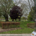 The incident unfolded in Queen Elizabeth Gardens, Salisbury. Picture: Google