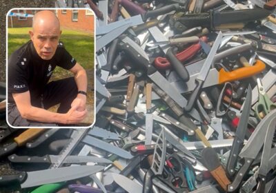 Insp David Tippetts, inset, and some of the knives seized during the operation. Pictures: Wiltshire Police