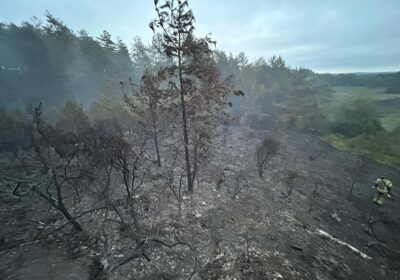 Fire broke out in Verwood Forest on Wednesday afternoon. Picture: Swanage Fire Station