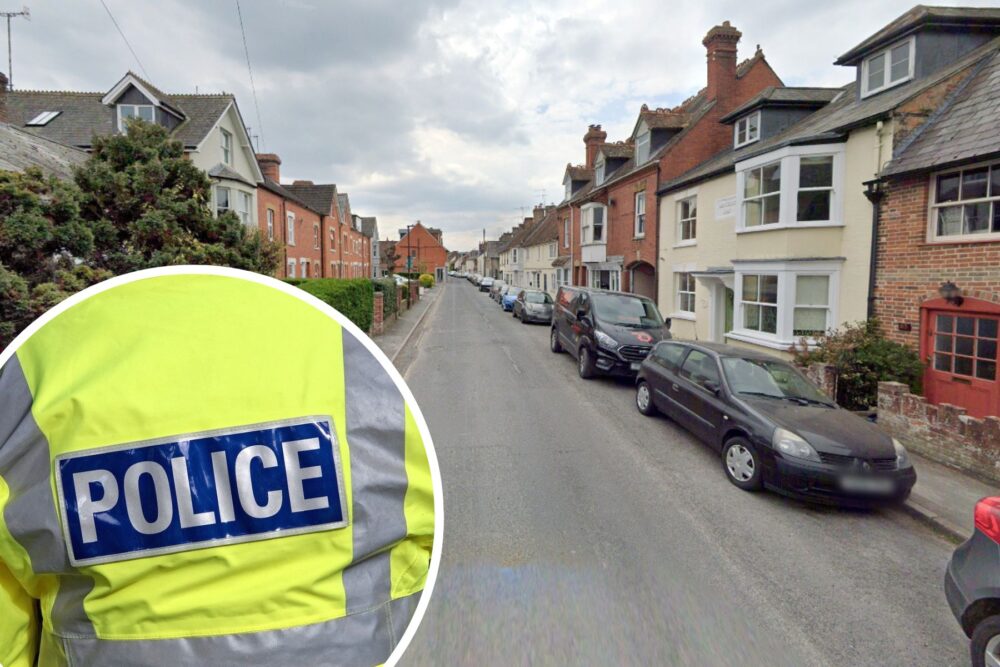 The incident happened in North Street, Wilton, police said. Picture: Google