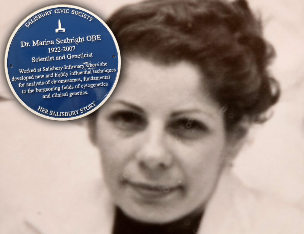 The plaque recognises the work of Dr Marina Seabright in Salisbury