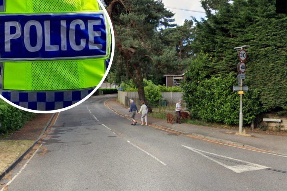 Residents found a burglar in their home in Lions Lane, Ashley Heath. Picture: Google