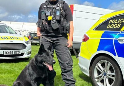 It is understood a Wiltshire Police dog handler was injured in the crash, near Figheldean. Picture: Wiltshire Police