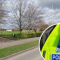 Groups of young people have been gathering in Harvard Park, Amesbury, according to Wiltshire Police