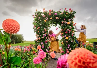 Stonehenge was dressed up in dahlias for the exhibition. Picture: English Heritage