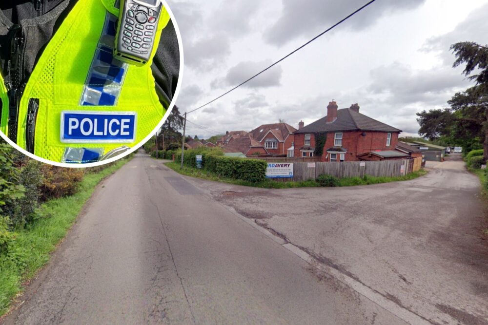 Thieves targeted properties off New Road in Landford, Wiltshire Police said