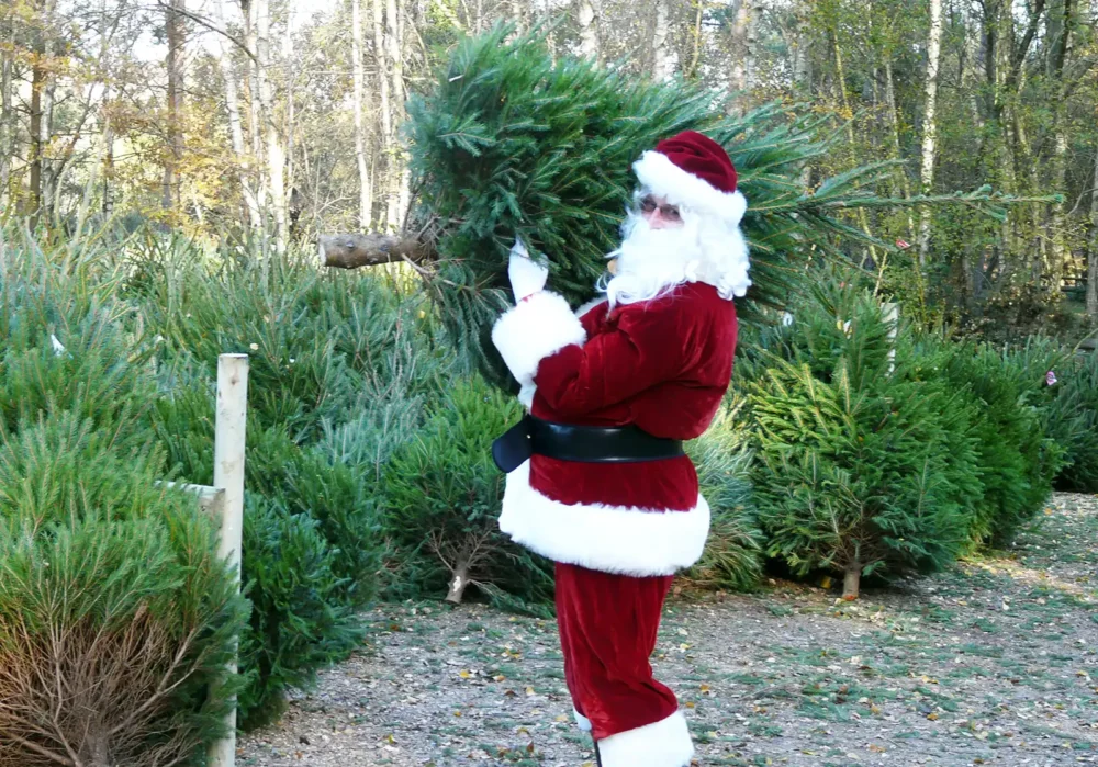 Santa helping out at Moors Valley Country Park and Forest. Picture: Forestry England