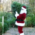 Santa helping out at Moors Valley Country Park and Forest. Picture: Forestry England