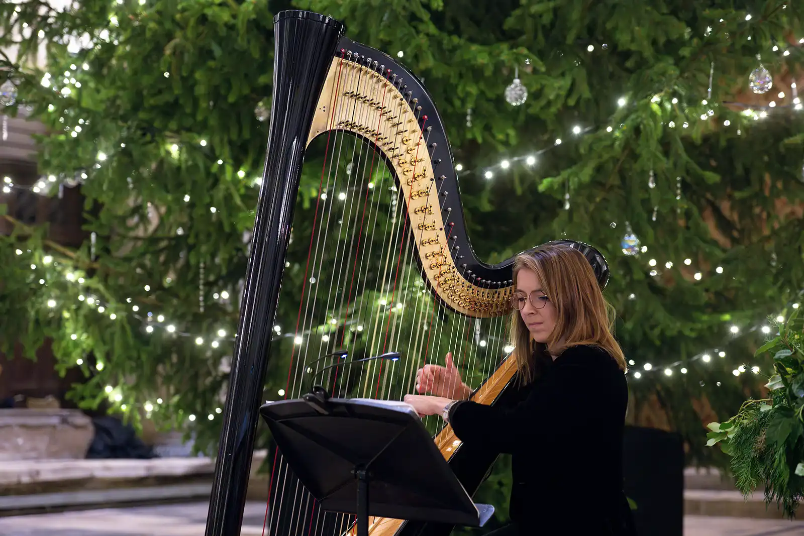 Music for the launch was provided by Wiltshire harpist, Katie Salomon. Picture: Finnbarr Webster