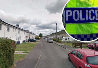 Suspected drugs were seized after a raid at a property in Pinewood Way, Bemerton Heath, Salisbury. Picture: Google