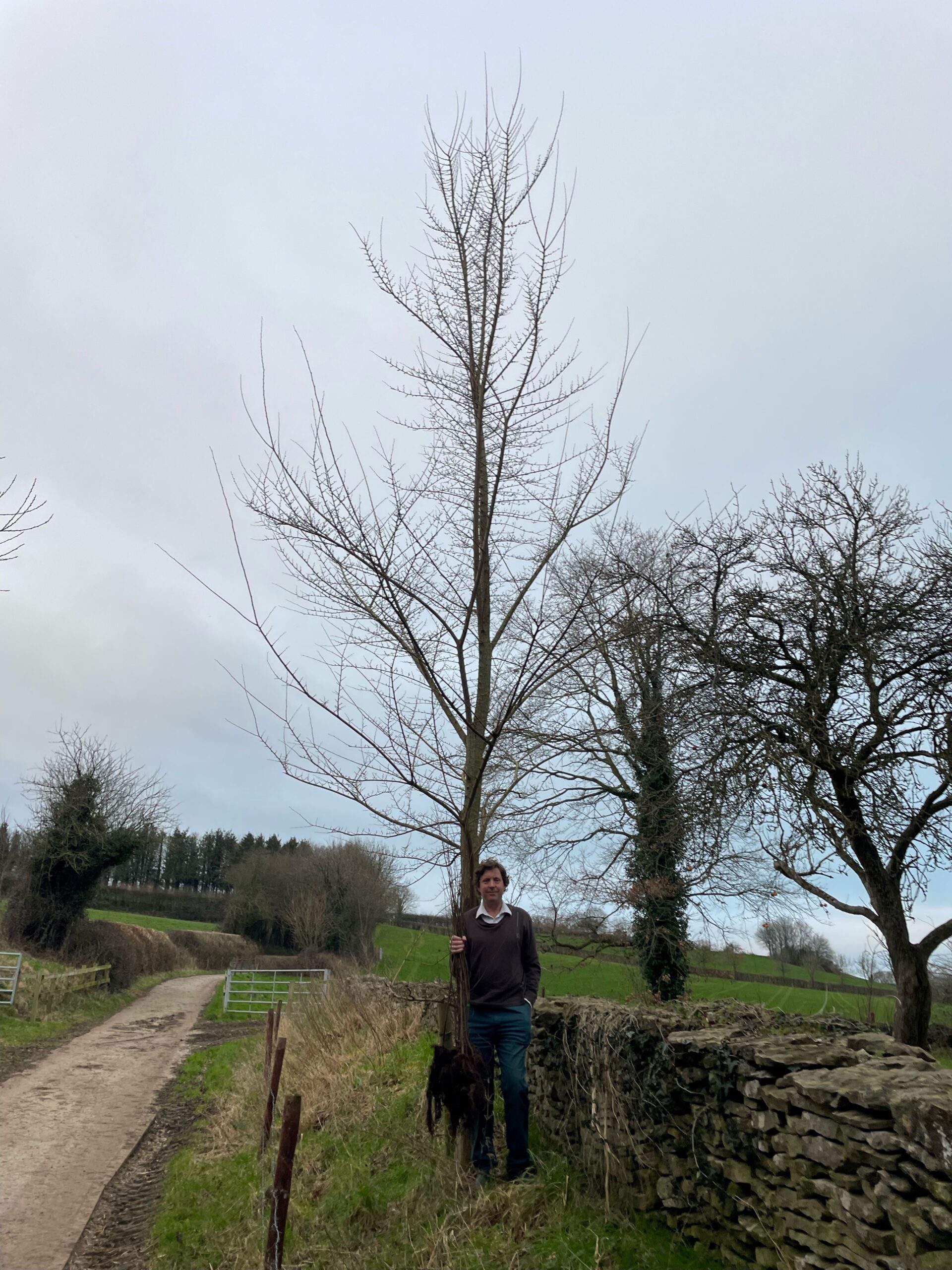 Peter Shallcross holding some young Ademuz whips, in front of a six-year-old tree. Photo: Peter Shallcross.