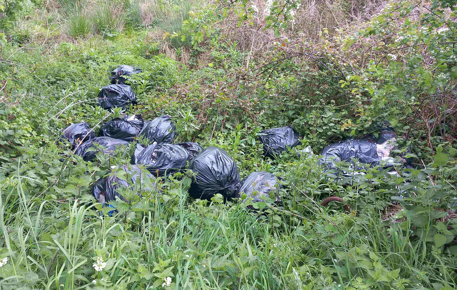 Waste dumped on land off Chaddington Lane, Royal Wootton Bassett. Picture: Wiltshire Council