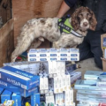 Bank accounts showed that Mr Mohammed had received cash deposits in excess of £100,000 between July 2020 and April 2023 for illegal tobacco products Picture: Wiltshire Council