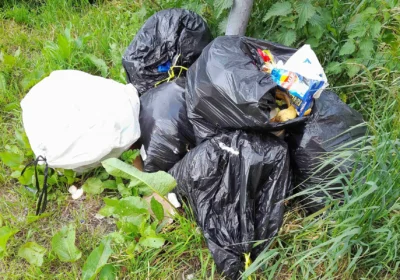 Waste found dumped in a layby off the A303 in Wiltshire. Picture: Wiltshire Council