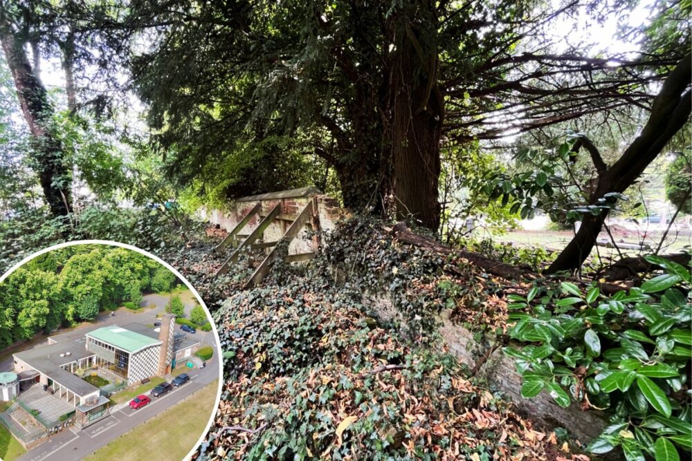 Walls in the grounds of Salisbury Crematorium have been damaged by trees and vegetation. Pictures: PS Architecture/Wiltshire Council