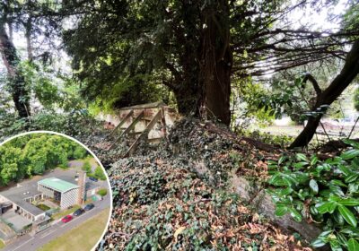 Walls in the grounds of Salisbury Crematorium have been damaged by trees and vegetation. Pictures: PS Architecture/Wiltshire Council