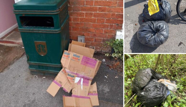 Fly-tipping in Amesbury, left, Salisbury, top right, and Upton Scudamore, bottom right. Pictures: Wiltshire Council