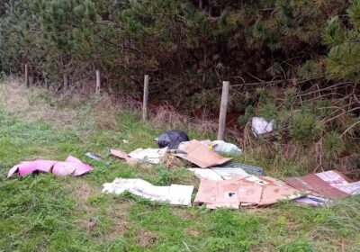 The man was fined £1,000 Picture: Wiltshire Council