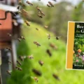 Richard Rickett will discuss all things bee-related in Salisbury