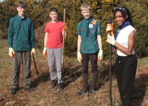 Harnham Scouts getting stuck in to gorse clearing Picture: Mark Warner