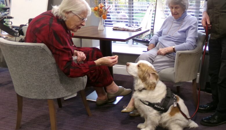 Residents often receive visits from therapy pets Picture: Wilton Place