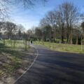 60 new cherry trees were also planted as part of the work Picture: Salisbury City Council