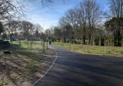 60 new cherry trees were also planted as part of the work Picture: Salisbury City Council